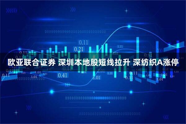 欧亚联合证券 深圳本地股短线拉升 深纺织A涨停