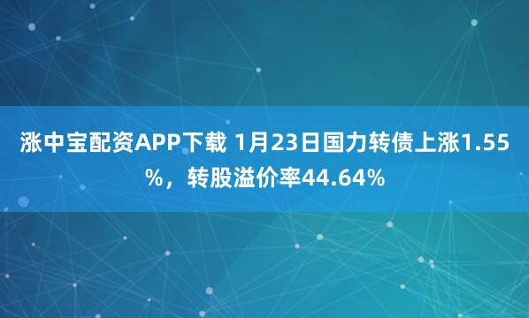 涨中宝配资APP下载 1月23日国力转债上涨1.55%，转股溢价率44.64%